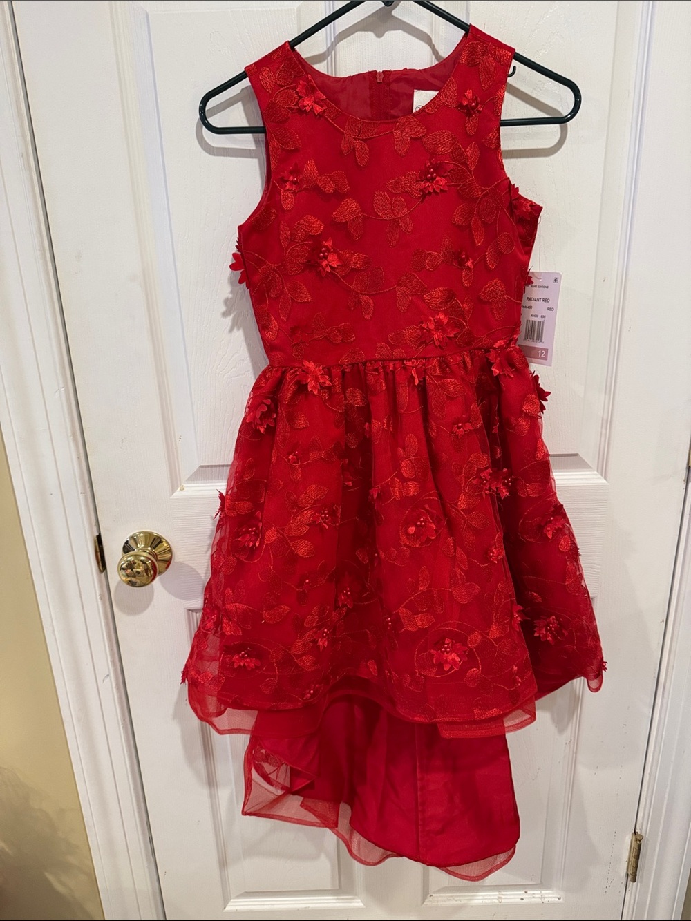 NWT Rare Editions Red Floral High/Low Formal Dress